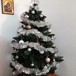 Casa Schei Dom wakacyjny