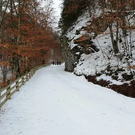 Vakantiehuis Casa Schei Braşov