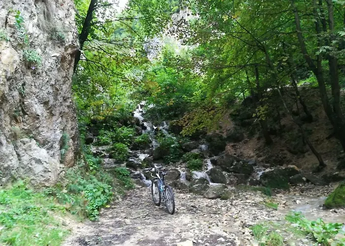 Casa Schei Hébergement de vacances *