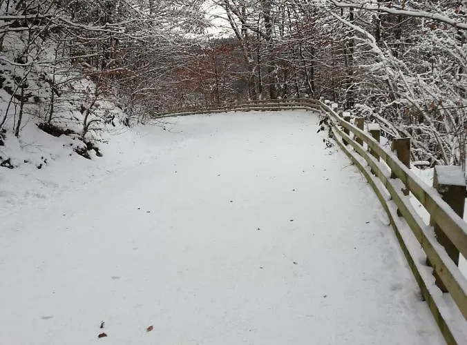 Tatil Evi Casa Schei