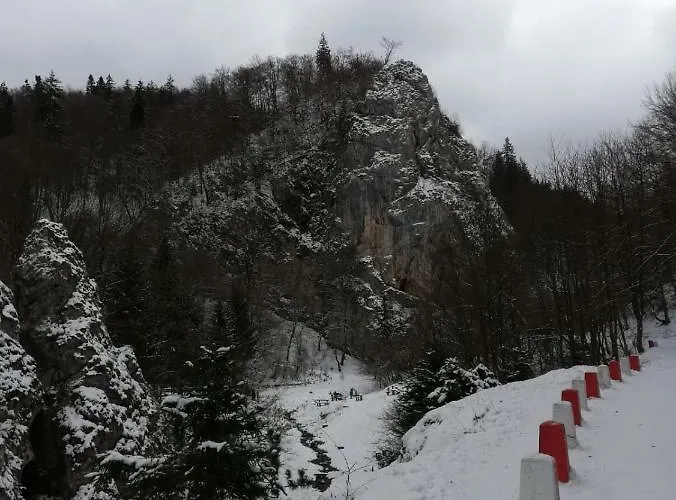 Casa Schei * Brašov