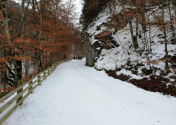 Prázdninový dům Casa Schei Brašov