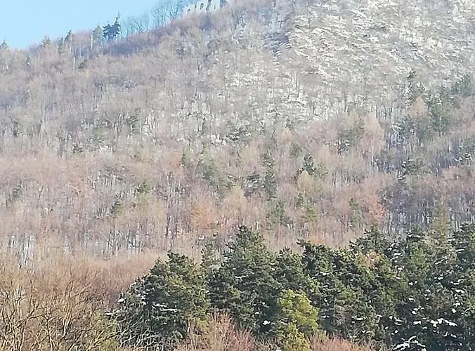 Casa Schei Hébergement de vacances Braşov